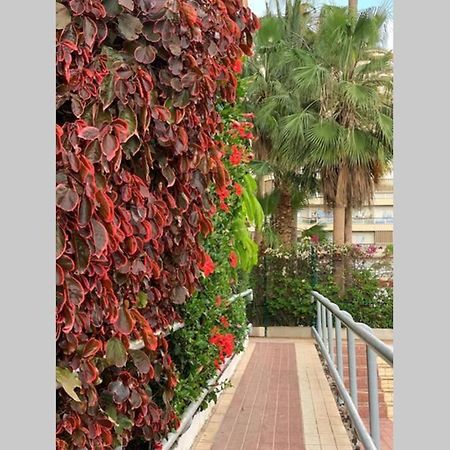 Jardines Del Sur, Ocean View Lägenhet Buzanada Exteriör bild